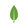 Logo of MongoDB Compass
